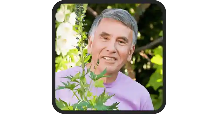 AB Keto ACV Gummies Reviews